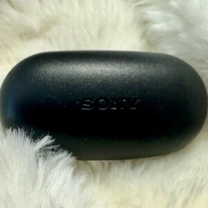 Sony Black Earbuds